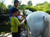 School Holiday Programme-Own A Pony Day